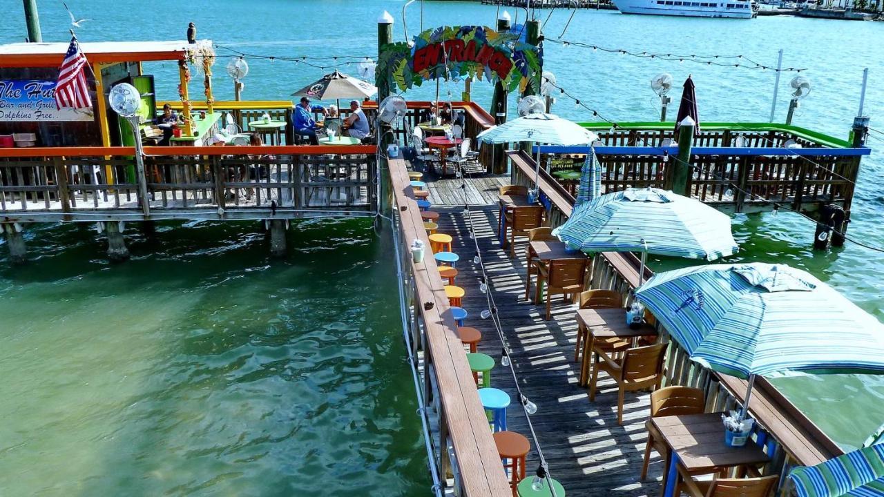 Coconut Paradise St. Pete Beach Luaran gambar